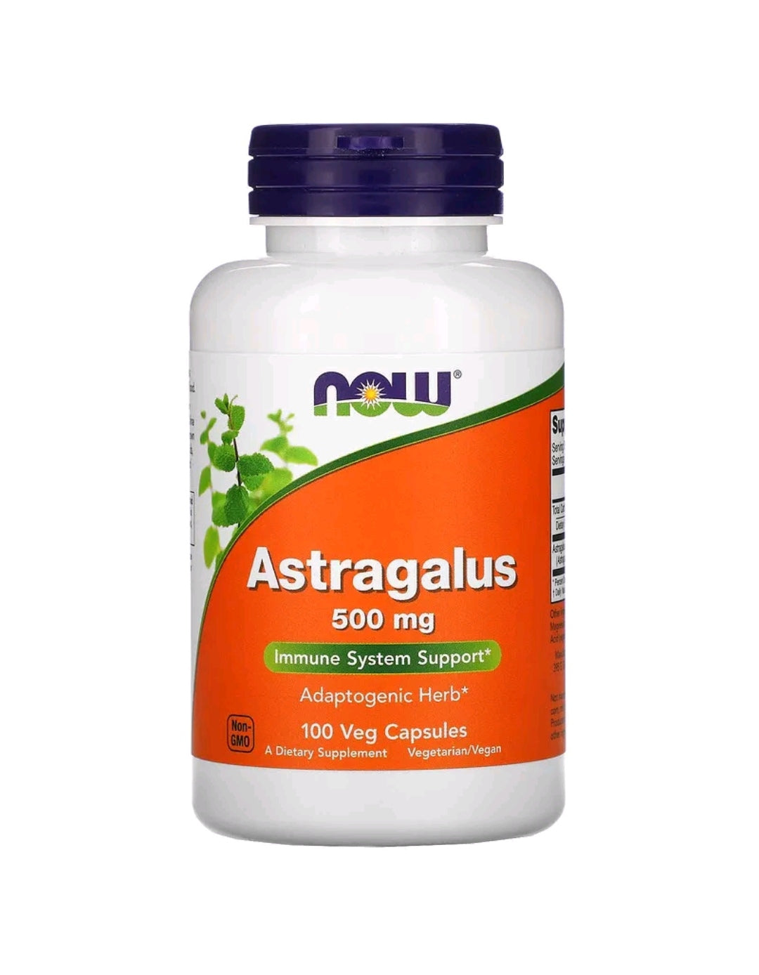 Astragalus