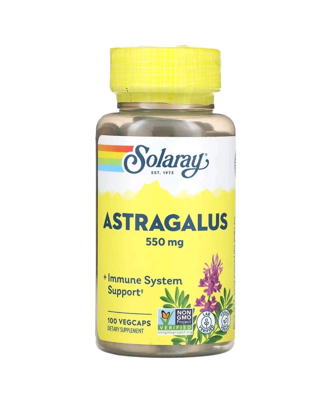 Astragalus