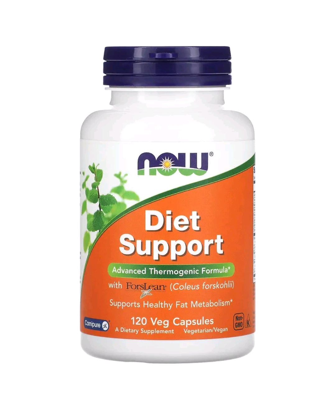 Diet Support - Fat Burn