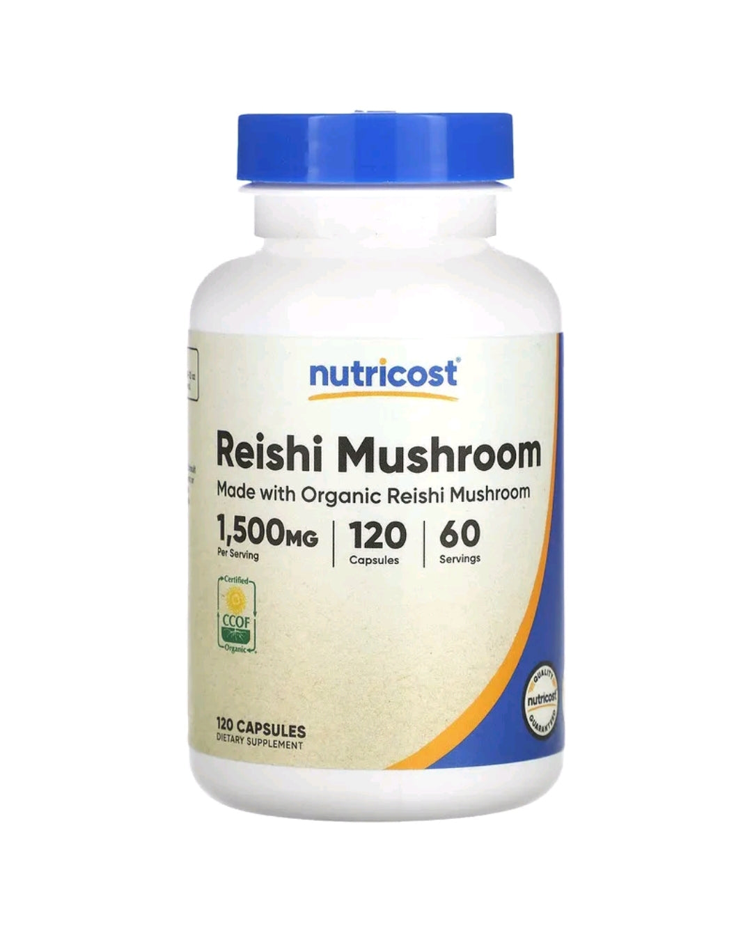 Reishi Mushroom