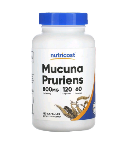 Mucuna Pruiens (Dopamine Hormone)
